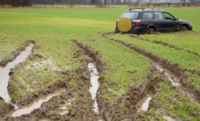 car in field