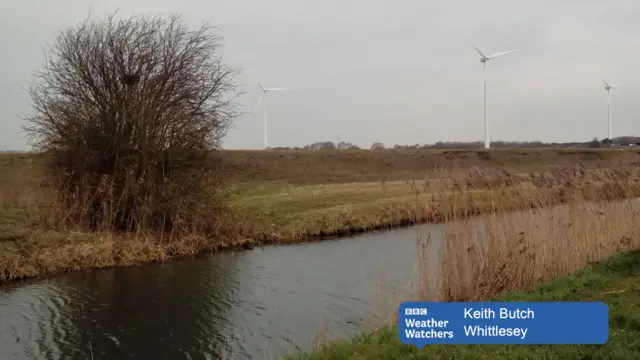 Whiittlesey