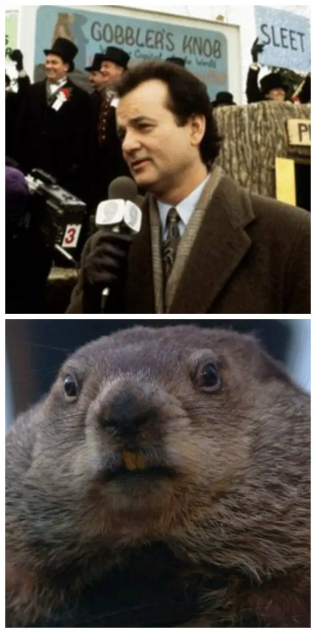 Bill Murray and Punxsutawney Phil.