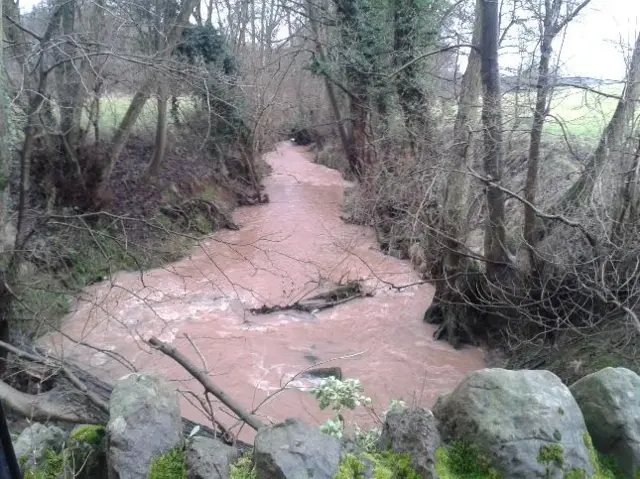 Flooded stream