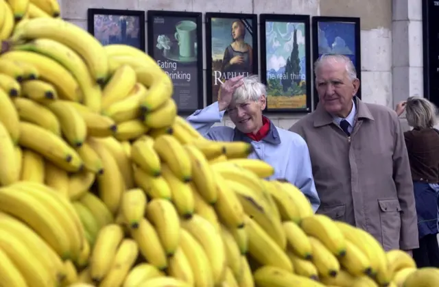 An art installation of bananas