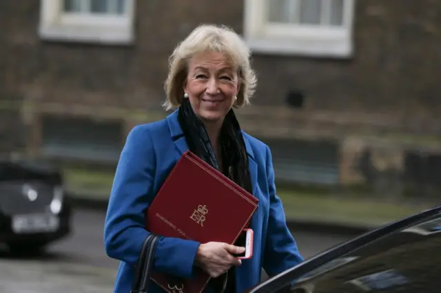 Andrea Leadsom