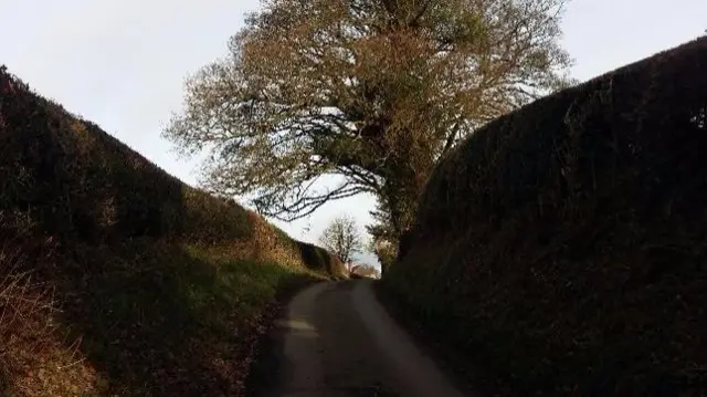 Road near Oswestry