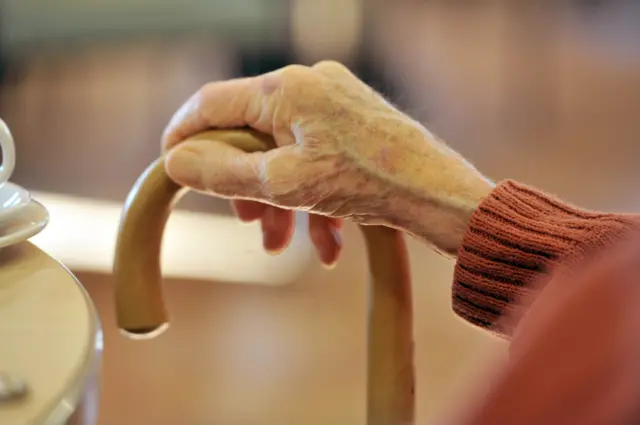 Person holding walking stick