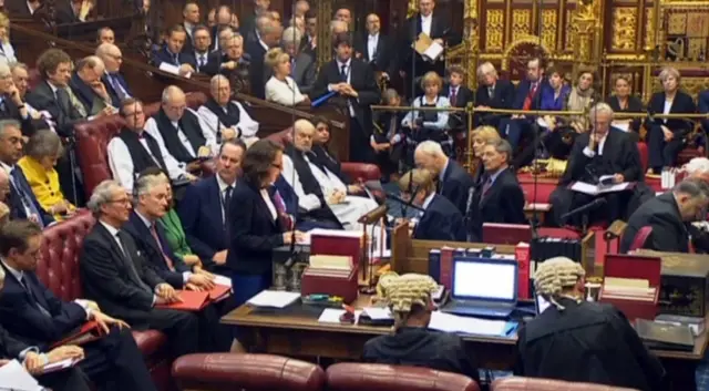 Peers in the House of Lords