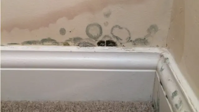 mould in one house