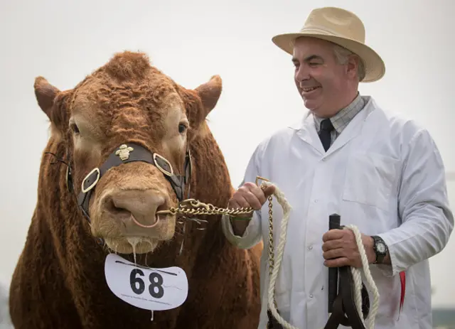 Farmer with a cow