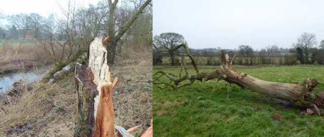 Storm Doris damage