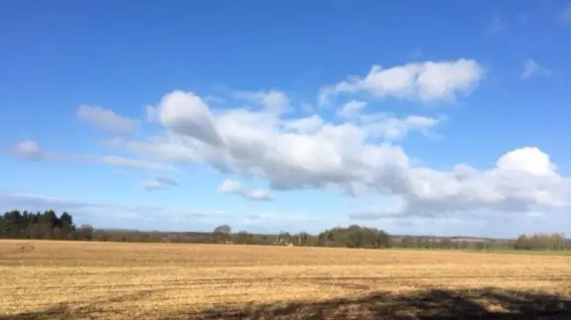 Fields in the sun