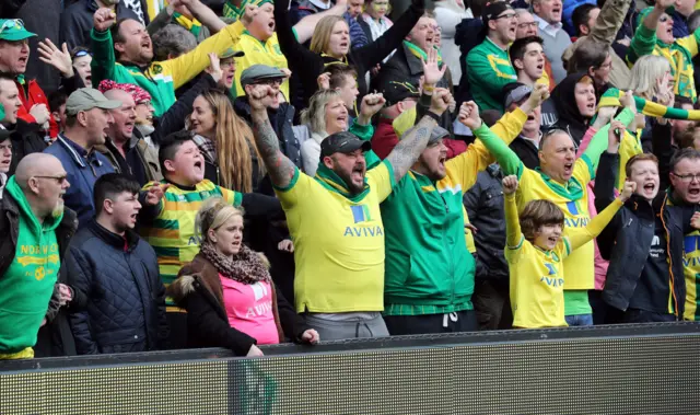 Norwich City fans cheering in the stadium