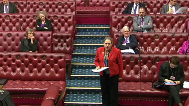 Baroness Kramer