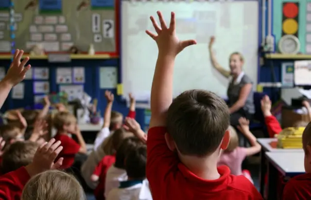 Primary school pupils