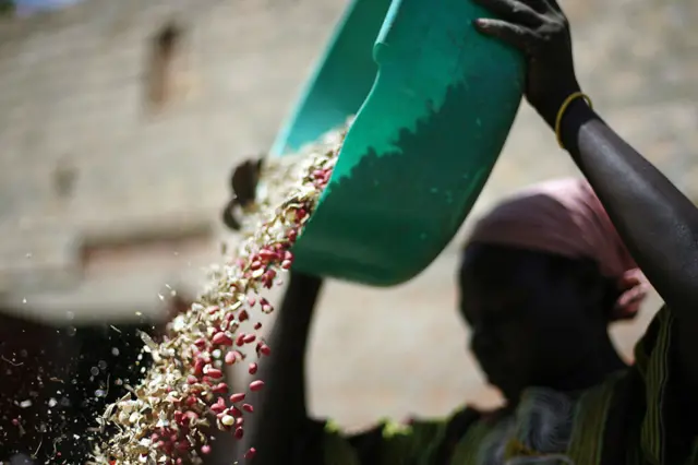 
          A woman separates ground nuts from their shell by pouring them out of a bucket
        