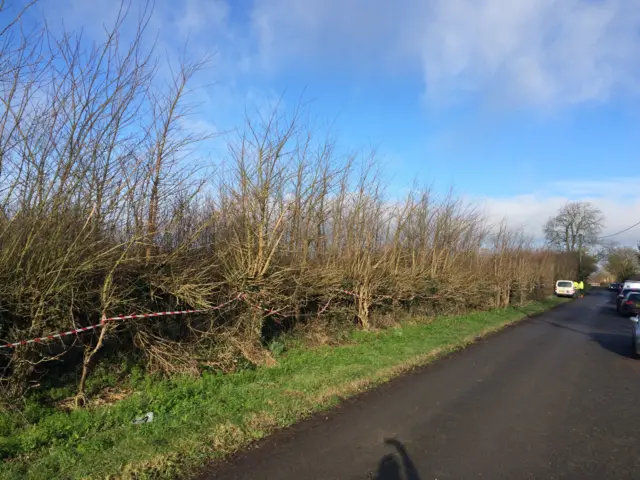 Hedge in Aston Clinton