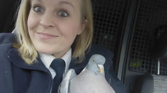 
          RSPCA animal collection officer (ACO) Catherine Strawford with the rescued pigeon
        