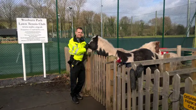 Police officer and horses