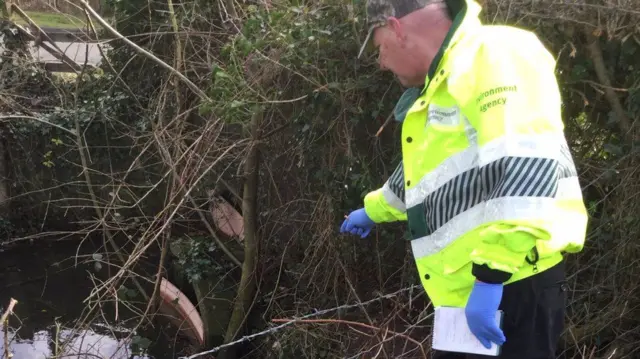 Pollution monitoring at Pasturefields Brook