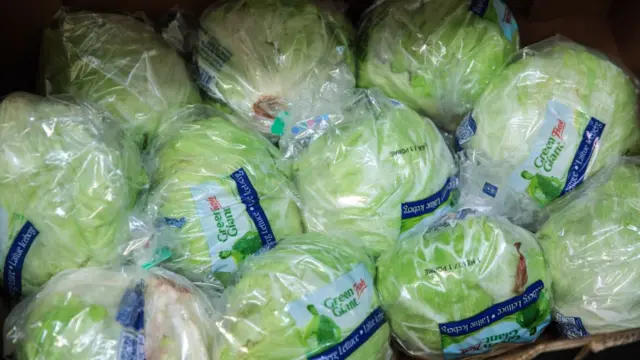 Iceberg lettuce