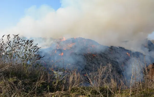 Burning wood pile at the scrap wood site