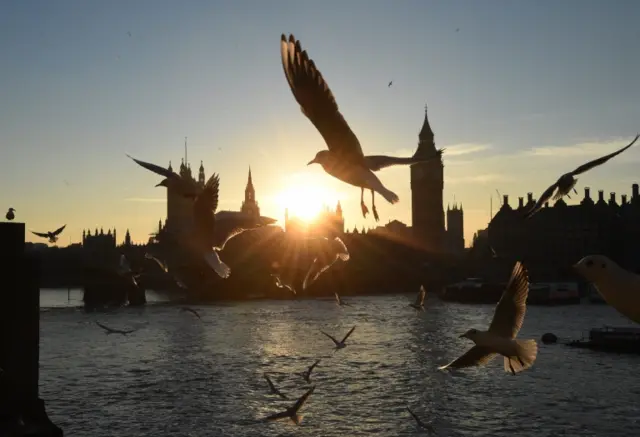 Houses of Parliament