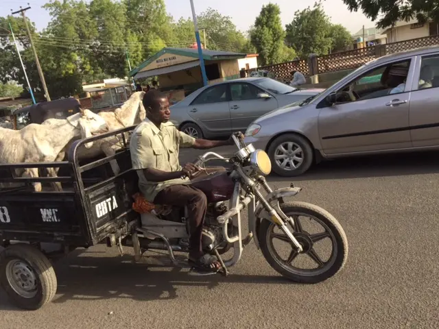 Goat seller in Maiduguri