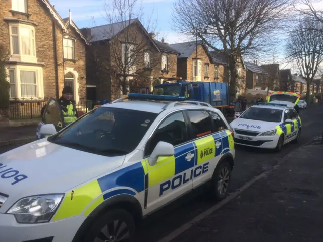 Police cars at felling protest