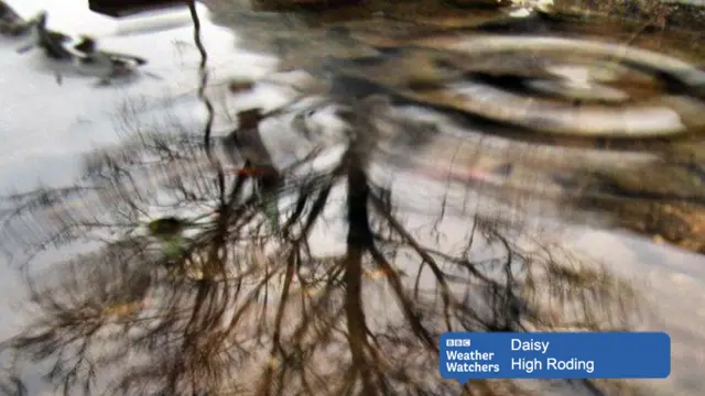 Reflection in a puddle