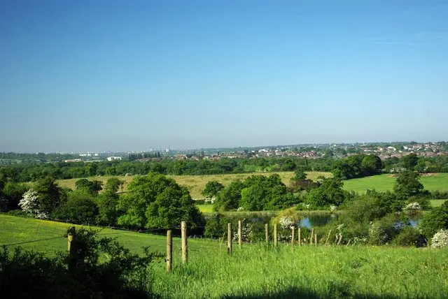 Green belt in Essex