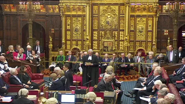 The Lord Speaker addresses peers