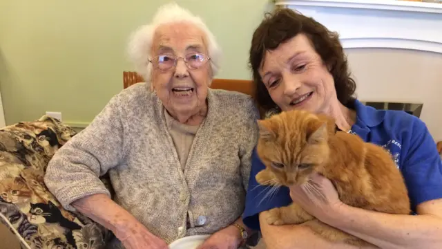 Cat with old lady