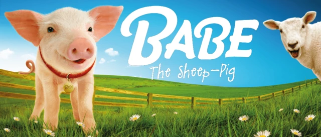 Babe the sheep pig