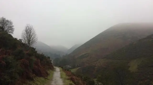 Foggy Long Mynd