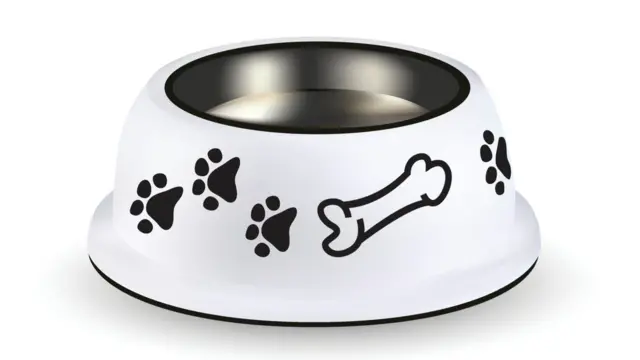 Dog bowl