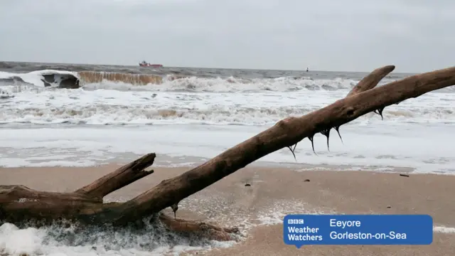 Crashing waves on Gorleston beach, with a washed-up tree branch