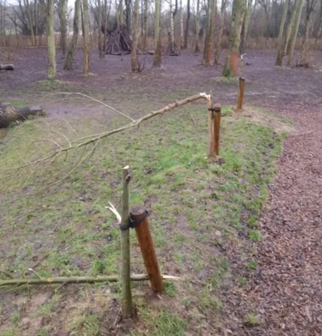 Vandalised trees in Ferry Meadows Park