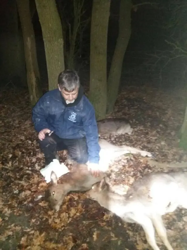 East Sussex Wildlife Rescue