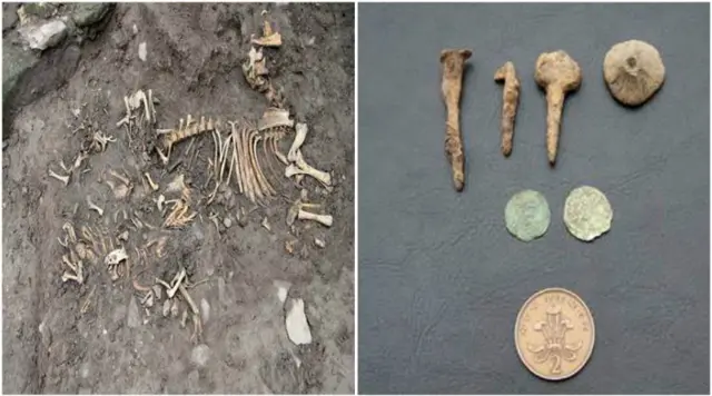 Dog remains and pins with coins