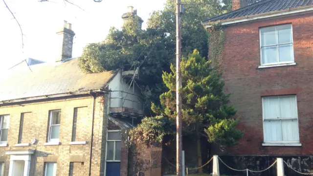 Fallen tree on house