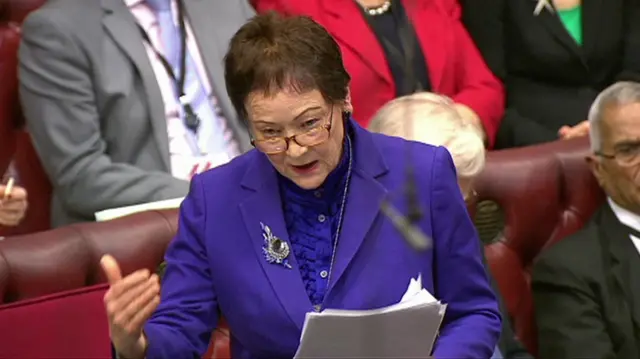 Baroness Ludford