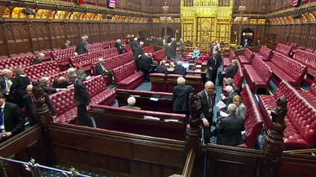 House of Lords vote