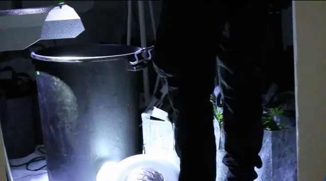 
          A police officer in front of drugs equipment and cannabis plants
        