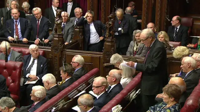 
          Brexit Minister David Davis (top left) watches on as Lord Brown makes his speech
        