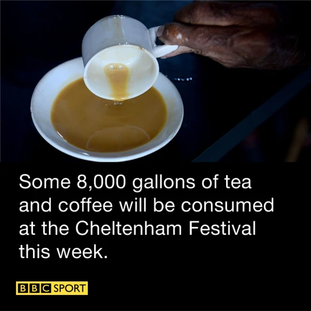 Cheltenham Festival cup of tea