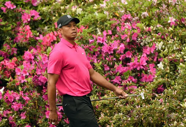 Tiger Woods stands near Azaleas