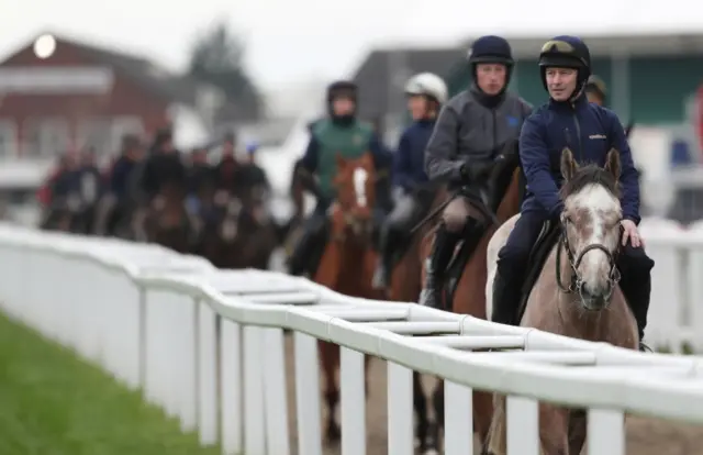 Horses at side of track