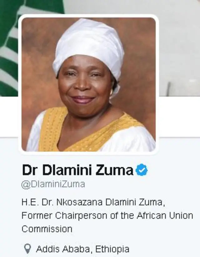 Twitter bio of Nosazana Dlamini Zuma