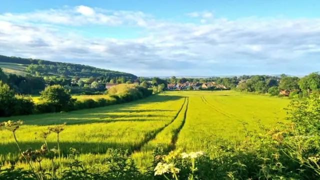 Field at South Cave