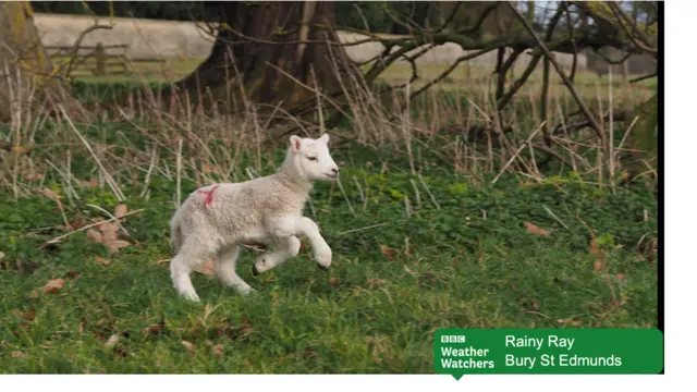 Weather Watcher scene from Bury St Edmunds