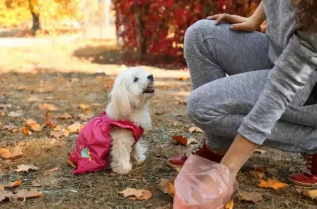 Woman and dog