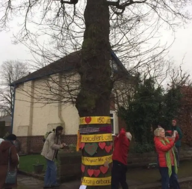 Tree protesters in Sheffield